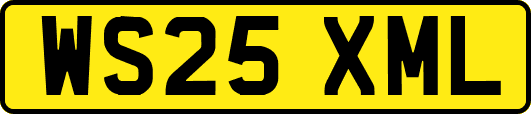 WS25XML