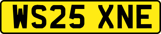 WS25XNE