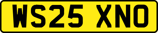 WS25XNO
