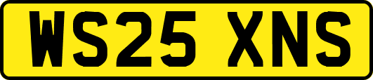WS25XNS