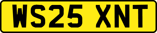 WS25XNT
