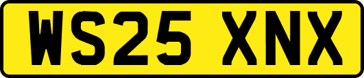 WS25XNX