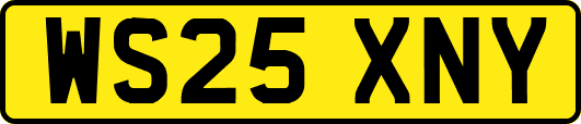 WS25XNY