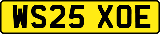 WS25XOE