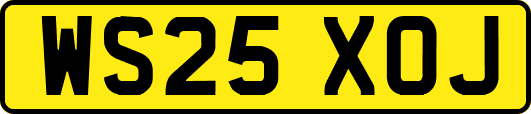WS25XOJ
