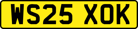 WS25XOK