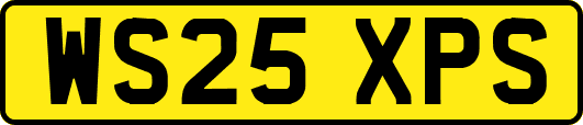WS25XPS