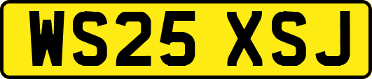 WS25XSJ