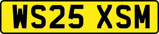 WS25XSM