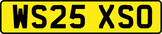 WS25XSO