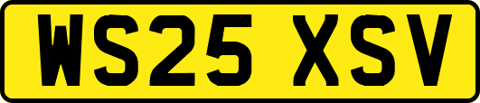 WS25XSV