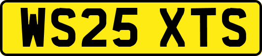 WS25XTS