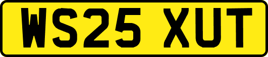WS25XUT