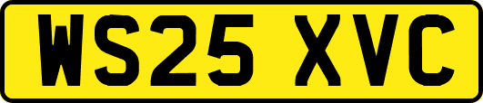 WS25XVC