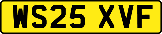 WS25XVF