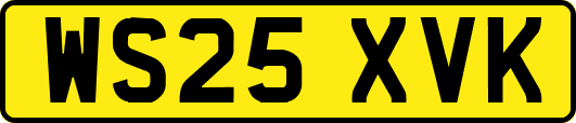 WS25XVK
