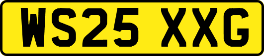 WS25XXG