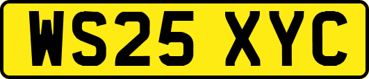 WS25XYC