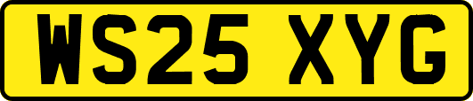 WS25XYG