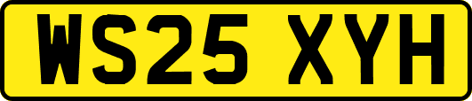 WS25XYH