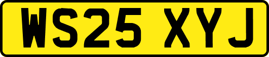 WS25XYJ