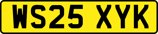 WS25XYK