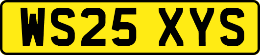 WS25XYS