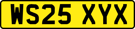 WS25XYX