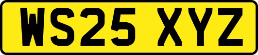 WS25XYZ