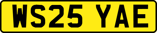 WS25YAE