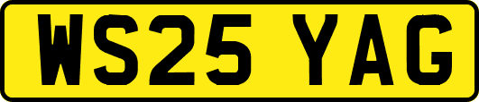 WS25YAG