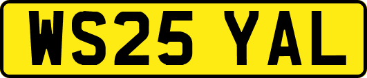 WS25YAL