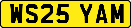 WS25YAM