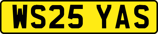 WS25YAS