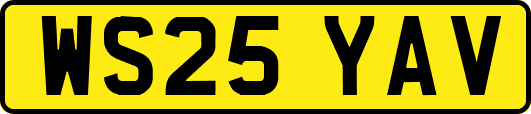 WS25YAV