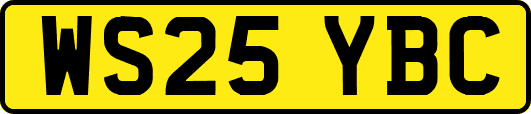 WS25YBC