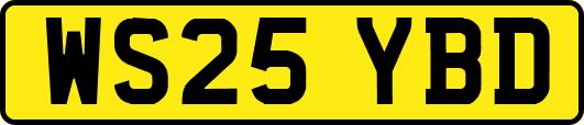 WS25YBD