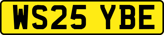 WS25YBE