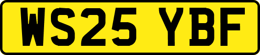 WS25YBF