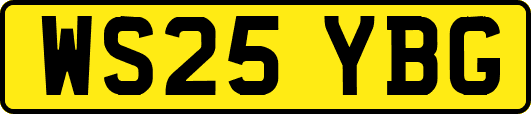 WS25YBG