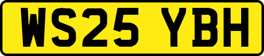 WS25YBH