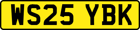 WS25YBK