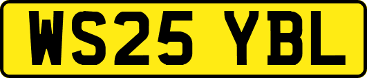 WS25YBL