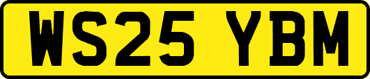 WS25YBM