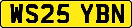WS25YBN