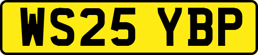WS25YBP