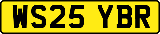 WS25YBR