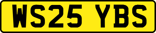 WS25YBS
