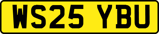 WS25YBU