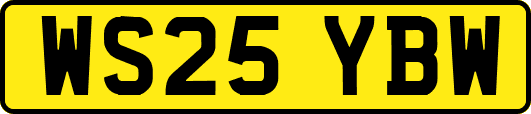 WS25YBW